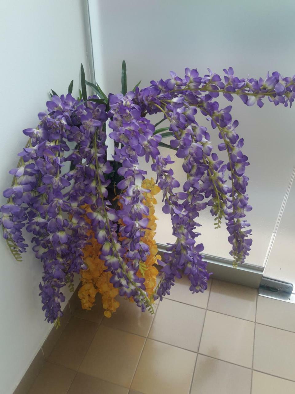 Hotel Casa Jardin Asuncion Kültér fotó